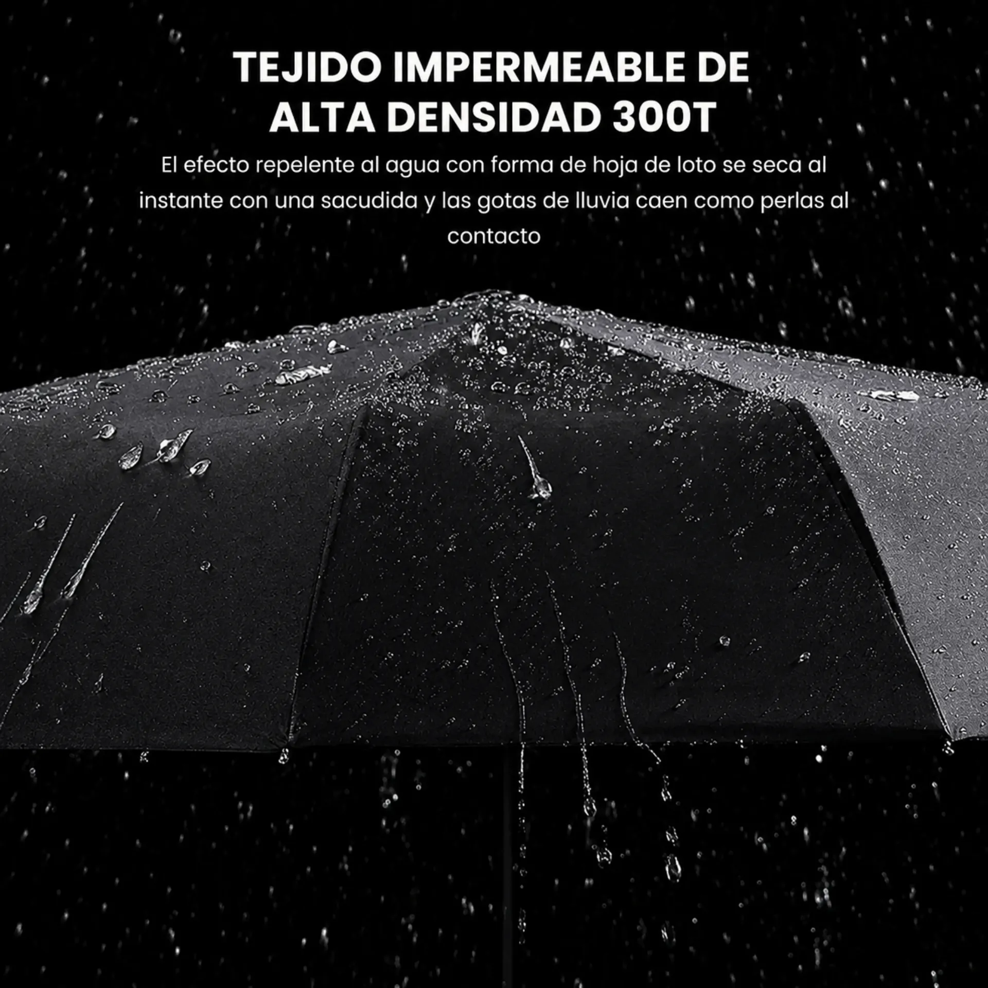 Imagen del producto 10